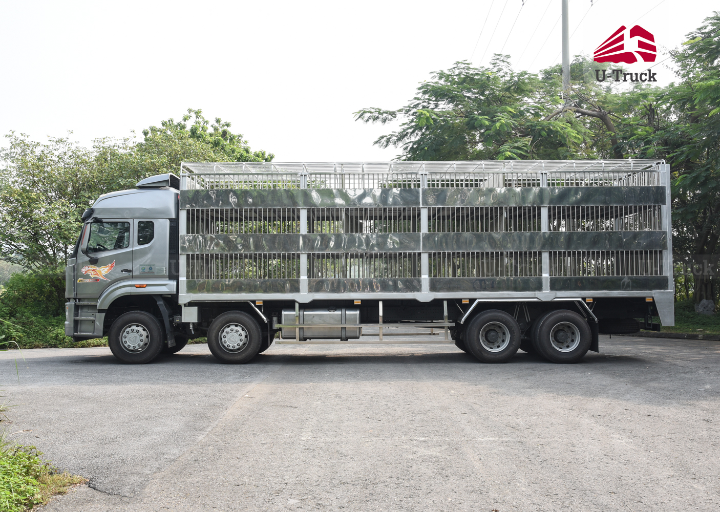 Xe chở gia súc HOWO NX 8×4 9m6