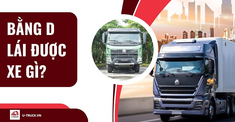 Bằng lái hạng D chạy được xe gì? Thời hạn bao lâu?
