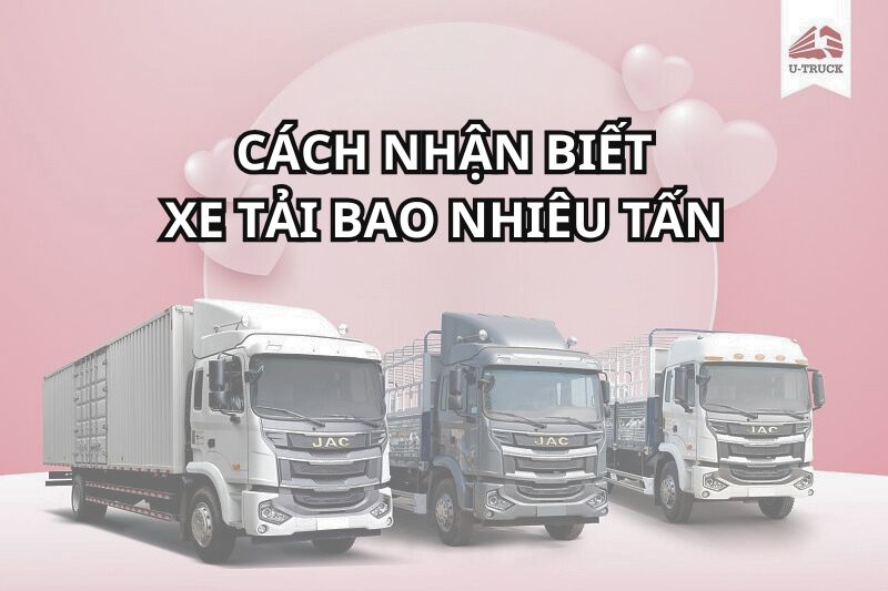 3 Cách nhận biết xe tải bao nhiêu tấn chính xác và nhanh chóng