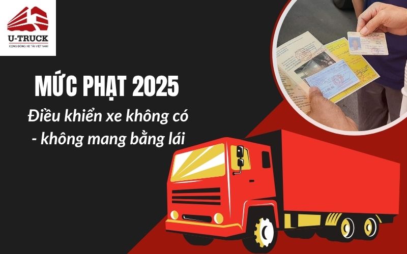 Lỗi không có bằng lái xe ô tô bị phạt bao nhiêu? Cập nhật 2026