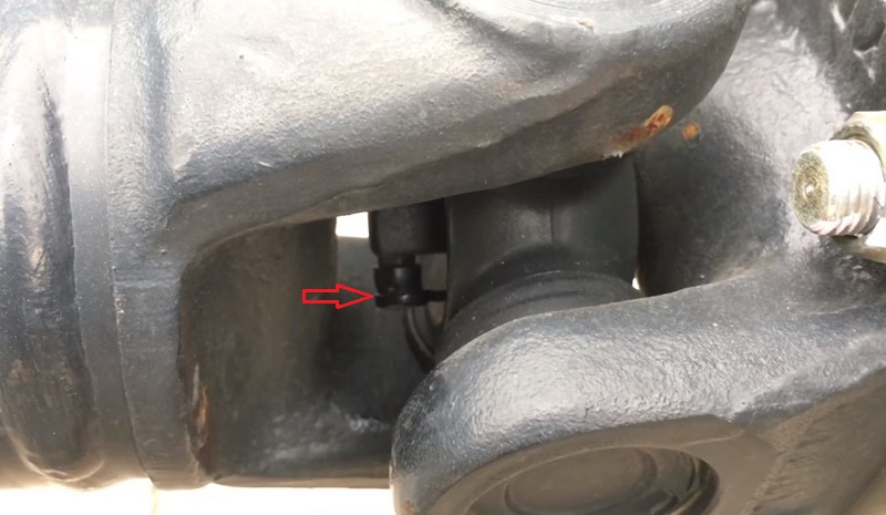 Vị trí trục các đăng