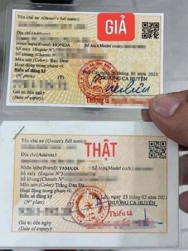 Cách phân biệt cà vẹt xe thật giả