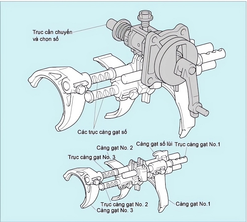 Các trục đi số
