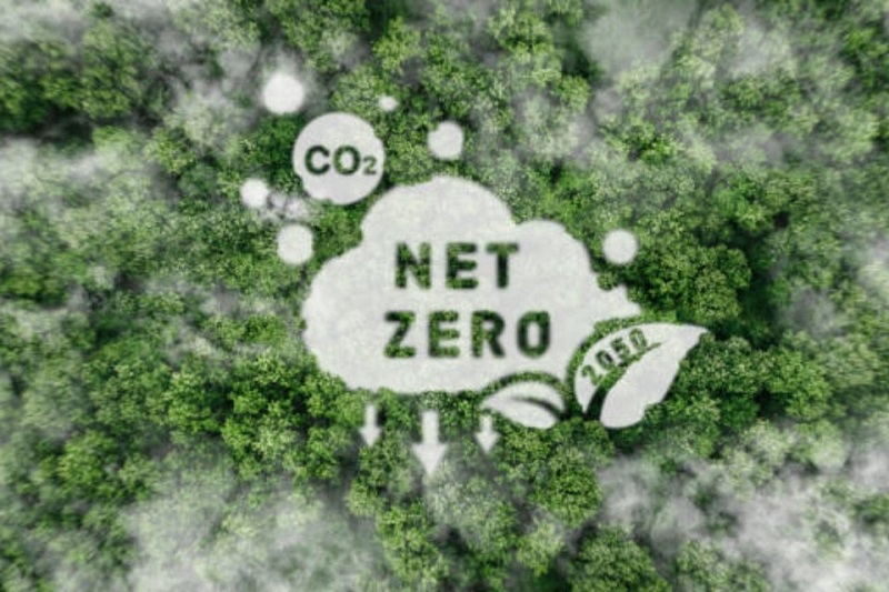 Tầm quan trọng của Net Zero