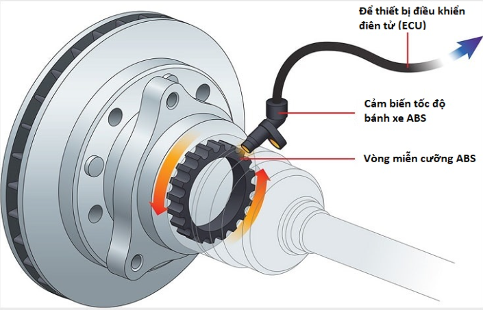 Cấu tạo phanh ABS